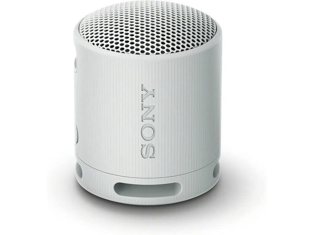Sony SRS-XB100 — siva