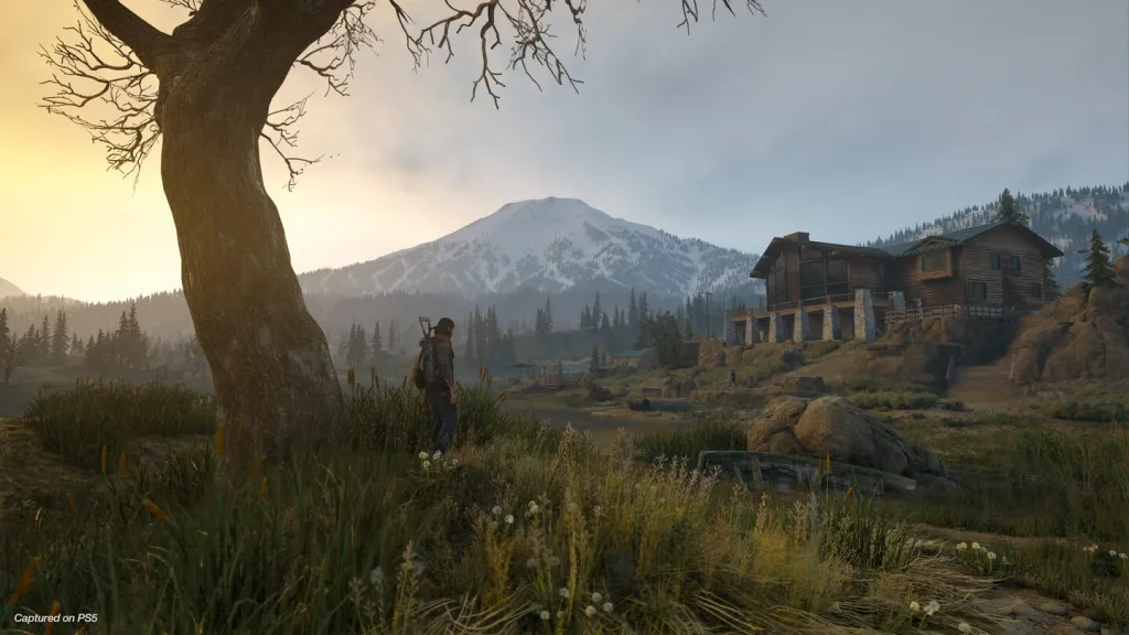 Days Gone — PS4