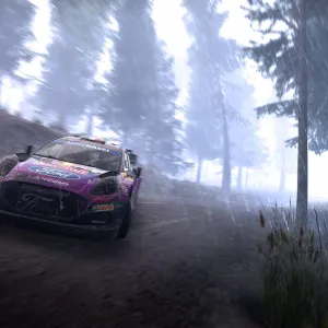 WRC Generations – The FIA WRC Official Game — PS5